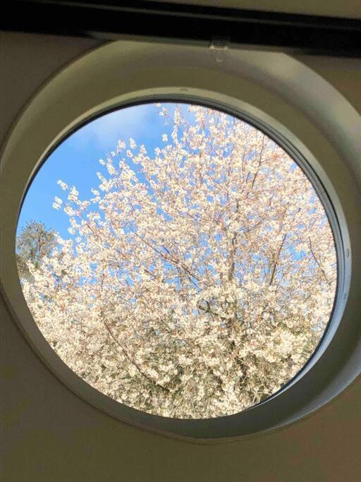 Villa Lyckehusen Löddeköpinge Dış mekan fotoğraf