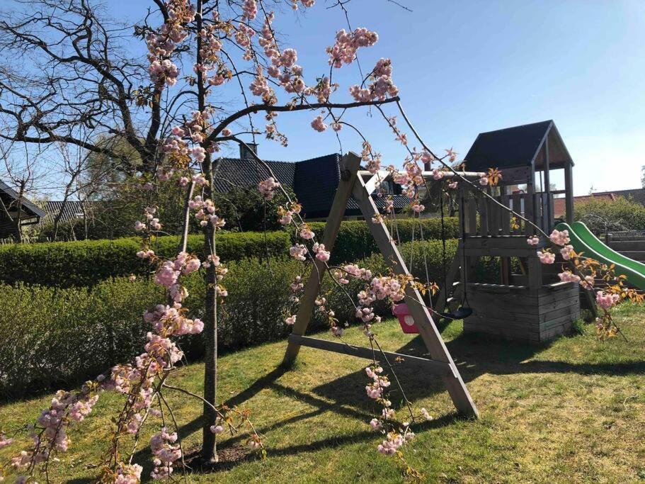 Villa Lyckehusen Löddeköpinge Dış mekan fotoğraf